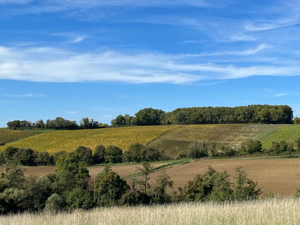 Randonnée intérieure – participants en marche profonde en nature pour se connecter à soi