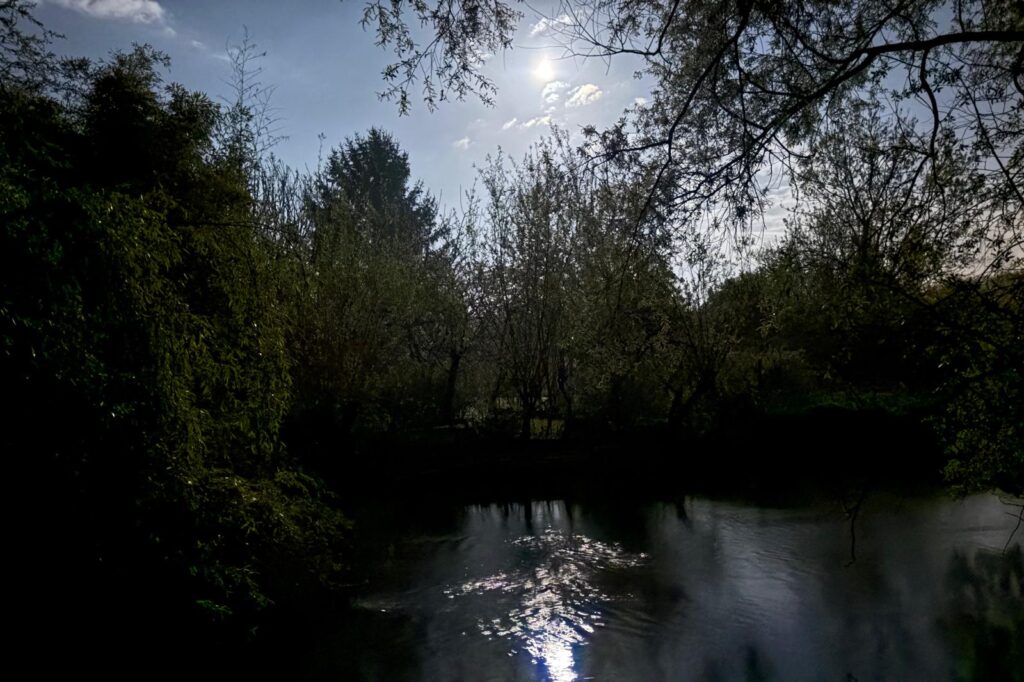 Sortie nature nocturne dans les marais près de Bourges sous la lumière de la lune.