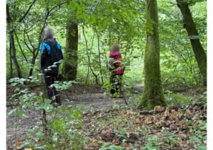 Participants observant la forêt lors d’un exercice sur le sens de la vue pendant une marche en conscience à Allogny