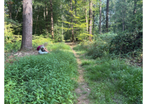 Participante explorant ses perceptions au contact de la nature lors d’une marche en conscience à Allogny