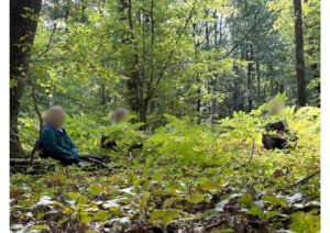 Participants assis en forêt lors d’une initiation à la méditation Anapana à Allogny