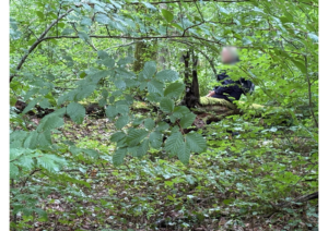 Participant installé seul au cœur de la forêt d’Allogny lors d’une marche en conscience