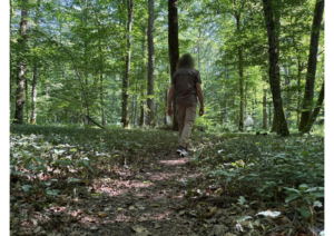 Participant marchant seul sur un sentier en forêt lors d’une marche en conscience à Allogny