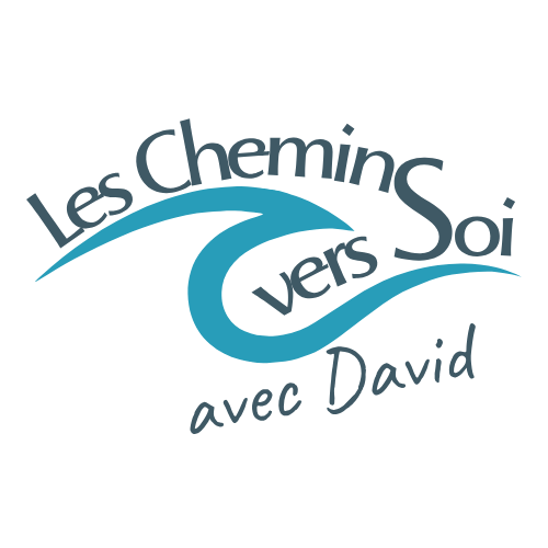 Logo Les Chemins vers Soi avec David – Accompagnement bien-être à Bourges